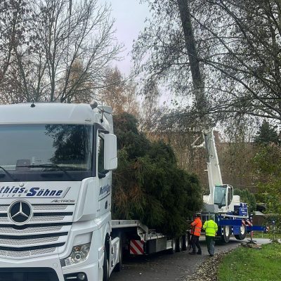 0f5f2f57-871b-4d68-809f-9172fba9f856